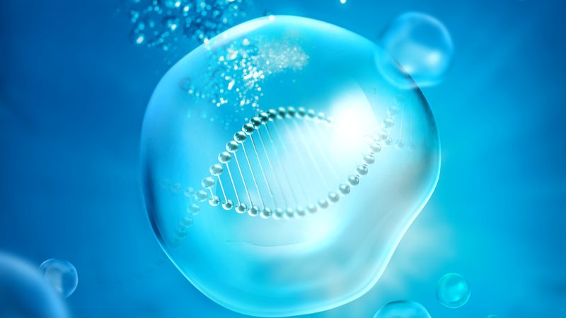 分子生物学试剂标准品主要分为以下几类：