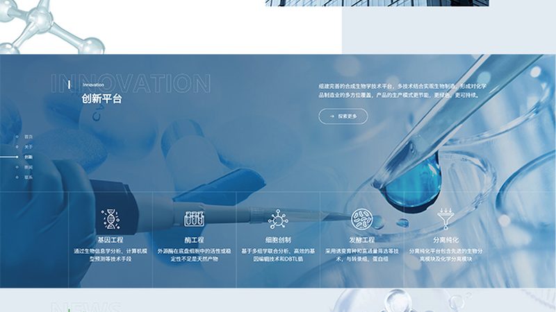 RT-PCR试剂盒型号解析：如何选择合适的产品**