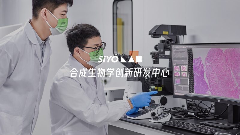北京分子生物学试剂：如何选择合适的供应商**