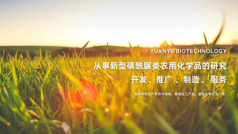 基因测序仪：解码生命的"测序通量"分类揭秘