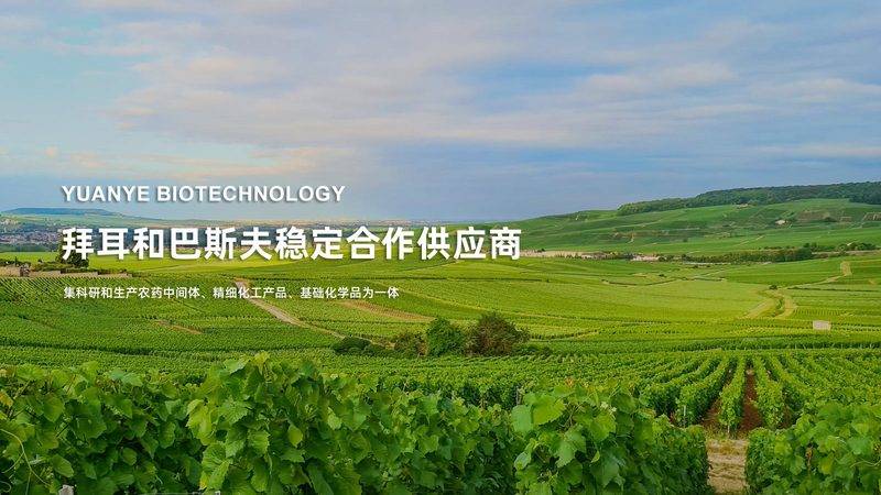 生物制品质量控制参数揭秘：关键指标与解读**