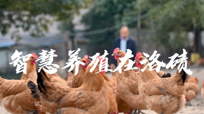抗体药生物类似药：北京肿瘤医院如何选择？**